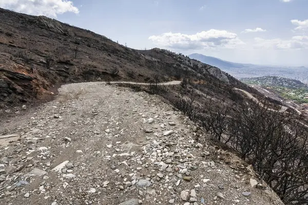 2024 'teki orman yangını felaketinin ardından Atina' ya bakan Penteli Dağı 'ndaki dağların içinden engebeli bir dağ yolu kıvrılıyor..