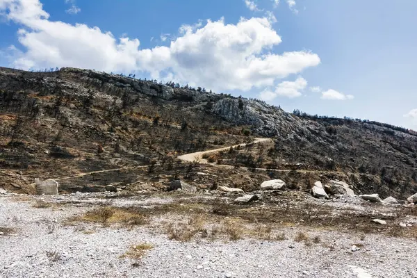 2024 'teki orman yangını felaketinin ardından Atina' ya bakan Penteli Dağı 'ndaki dağların içinden engebeli bir dağ yolu kıvrılıyor..