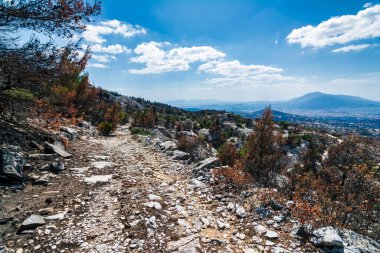 Penteli yamaçlarında engebeli bir dağ yolu kavrulmuş bitki örtüsü ve orman yangınından sonra Atina üzerinde net bir manzara..