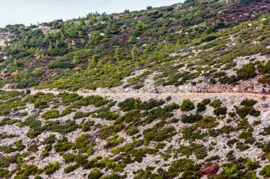 Atina 'nın dik bir Penteli yamacındaki kayalar ve çalılarla çevrili dar toprak patika boyunca giden iki bisikletçi..