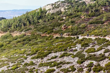 Atina 'nın dik bir Penteli yamacındaki kayalar ve çalılarla çevrili dar toprak patika boyunca giden iki bisikletçi..