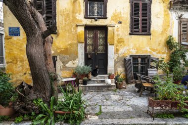 Atina, Yunanistan - 2 Mart 2025: Atina 'nın Plaka ilçesinin sıcacık taş bahçesinde dört kedi dinleniyor, etrafı yıpranmış duvarlar ve saksı bitkileriyle çevrili.