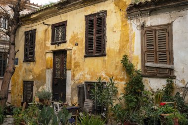 Atina, Yunanistan - 2 Mart 2025: Atina 'nın Plaka ilçesinin sıcacık taş bahçesinde dört kedi dinleniyor, etrafı yıpranmış duvarlar ve saksı bitkileriyle çevrili.