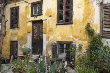 Atina, Yunanistan - 2 Mart 2025: Atina 'nın Plaka ilçesinin sıcacık taş bahçesinde dört kedi dinleniyor, etrafı yıpranmış duvarlar ve saksı bitkileriyle çevrili.