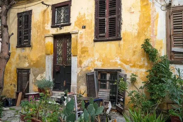 Atina, Yunanistan - 2 Mart 2025: Atina 'nın Plaka ilçesinin sıcacık taş bahçesinde dört kedi dinleniyor, etrafı yıpranmış duvarlar ve saksı bitkileriyle çevrili.