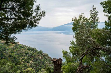 Çam dalları tarafından çerçevelenen bu kıyı manzarası, bulutlu gökyüzünün altındaki sakin Saronik Körfezi 'ne inen orman yamaçlarını gözler önüne seriyor..