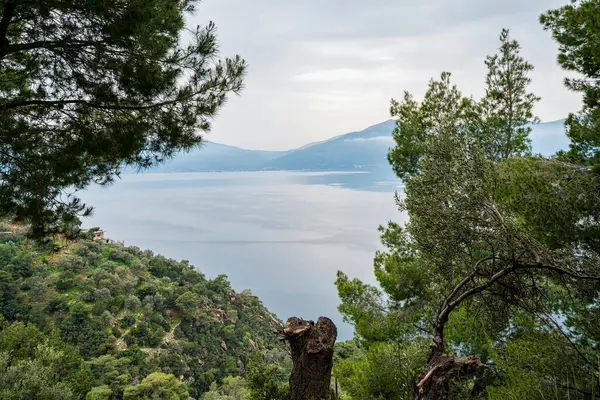 Çam dalları tarafından çerçevelenen bu kıyı manzarası, bulutlu gökyüzünün altındaki sakin Saronik Körfezi 'ne inen orman yamaçlarını gözler önüne seriyor..
