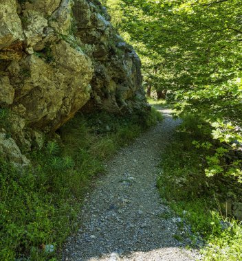Evia 'nın Dirfi Dağı' ndaki Agali Geçidi 'nin dik kireçtaşı duvarı, açık mavi gökyüzüne çarpar..