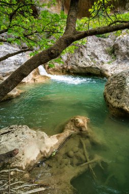 Yunanistan 'ın tenha Aziz Luke Vadisi' nin içindeki kireçtaşı duvarlar ve bahar yeşillikleri arasında turkuaz şelale havuzu çerçeveleniyor.