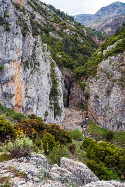 Dik gri kireçtaşı duvarlar dar Aziz Luke Vadisi 'ni, çağlayan akarsuları ve ön plandaki kır çiçeklerinin çerçevelediği gür Akdeniz çam ağaçlarını ortaya çıkarmak için ikiye bölündü..