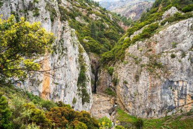 Dik gri kireçtaşı duvarlar dar Aziz Luke Vadisi 'ni, çağlayan akarsuları ve ön plandaki kır çiçeklerinin çerçevelediği gür Akdeniz çam ağaçlarını ortaya çıkarmak için ikiye bölündü..