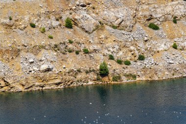Dik kayalık yamaçlar ve seyrek bitki örtüsü, Yunanistan 'ın Evia kentinde kuşların kıyıya yakın yüzdüğü Triadas Gölü' nün koyu mavi sularıyla buluşuyor..