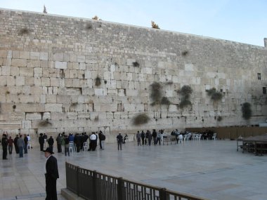 Kudüs 'te ağlama duvarının yanında dua eden insanlar