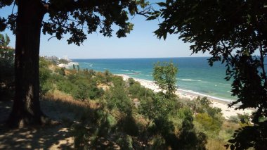 Deniz kıyısının manzarası