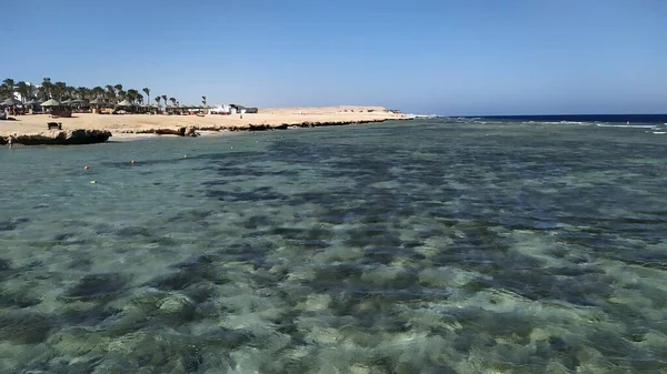 Marsa Alam 'daki kumsal manzarası