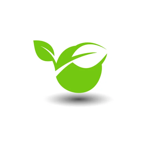 Organik Vektör Logo Şablonu Çizimi Çember Yeşil Yaprak Işareti Ekoloji — Stok Vektör