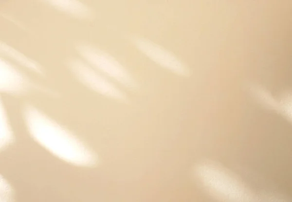 Sombra Ventana Natural Sobre Fondo Pared Color Marrón Efecto Superposición — Foto de Stock