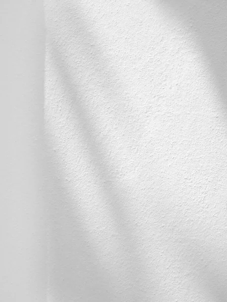 Leaf Shadow Light White Concrete Wall Overlay Effect Photo Mock — Stock Photo, Image