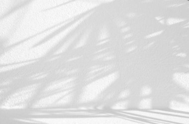 Doğa, sert beton duvarda gölgeler bırakır, fotoğraf, taklit, ürün, duvar sanatı, tasarım sunumu için üstüste efekt