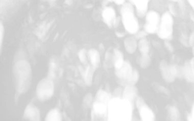 Yaprak gölgesi ve güneş ışığı beyaz beton duvar arka planına lekelenmiş..