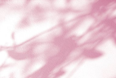 2023 Viva Magenta renginde doğal gölgeler bırakır. Beyaz duvar arka planında tropik gölgeler bırakır. Fotoğraf, model, ürün, duvar sanatı, tasarım sunumu için gölge örtüsü efekti