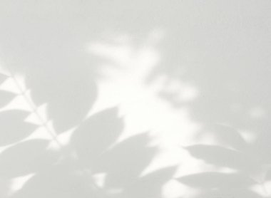 Beyaz beton duvarda yaprak gölgesi ve ışık, fotoğraf için kaplama etkisi, taklit, ürün, duvar sanatı, tasarım sunumu