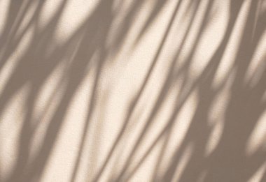 Abstract light and shadow of leaves bokeh blurred background.