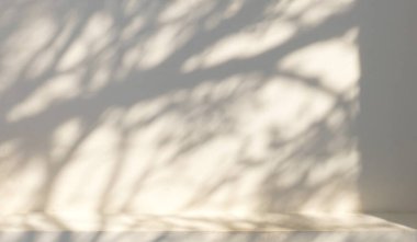 Ürün görüntüleme, tasarım sunum arkaplanı ve maket için beton duvar dokusu üzerindeki ağaç gölgesi.