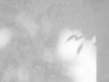 Eski duvar çimento dokusu, doğal yaprak gölgesi ile gri arkaplan, fotoğraf için üstüste efekt, model, ürün, duvar sanatı, tasarım sunumu