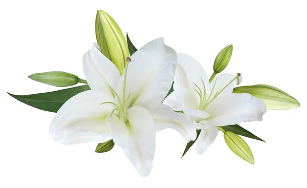 Bouquet Fleurs Lys Blanc Isolé Sur Fond Blanc Pour Carte Photo De Stock