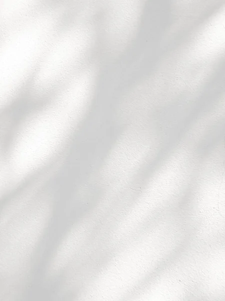 Folha Sombra Luz Parede Concreto Branco Efeito Sobreposição Para Foto — Fotografia de Stock