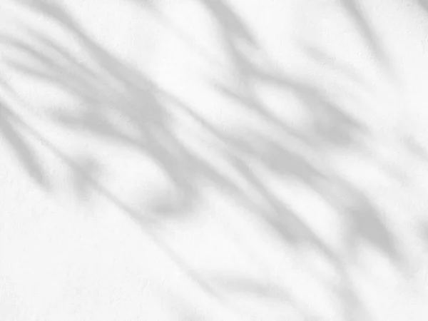 白いコンクリートのテクスチャの壁に葉の影と光 壁のアート デザインプレゼンテーションの背景のオーバーレイ効果 — ストック写真