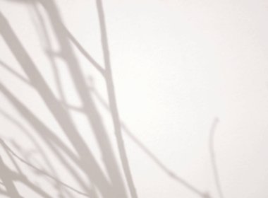 Bej beton duvarda doğal ağaç gölgesi, fotoğraf için üstüste koyma efekti, maket, ürün görüntüleme arka planı.