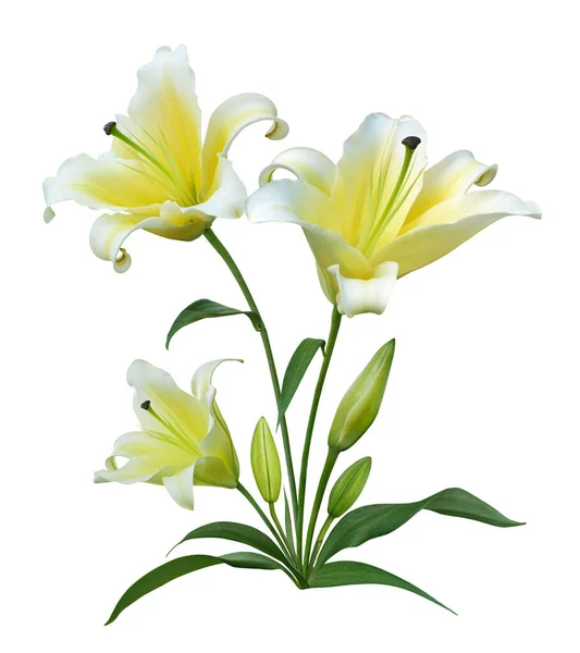 Gele Lily Bloemboeket Geïsoleerd Witte Achtergrond Floral Bruiloft Uitnodiging Kaart Stockafbeelding
