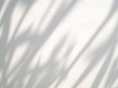 Duvardaki yaprakların soyut gölgesi, fotoğraf, taklit, ürün, duvar sanatı, tasarım sunumu efekti