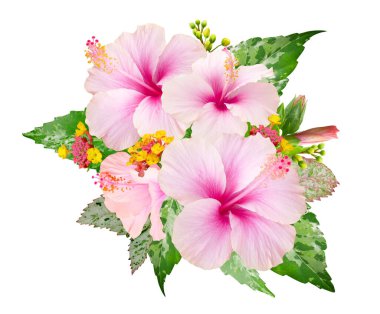 Beyaz arka planda pembe amber çiçeği ve yeşil yapraklı tropik buket.