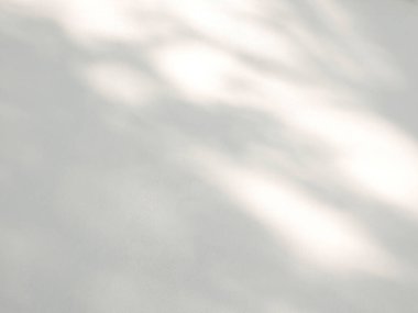 Beyaz bir duvardaki yaprakların soyut gölgesi, fotoğraf, taklit, ürün, duvar sanatı, tasarım sunumu için üstüste efekt