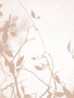 Beton duvar dokusu arka planında sıcak sonbahar renklerinde yaprakların gölgesi, fotoğraf, taklit, ürün, duvar sanatı, tasarım sunumu için kaplama efekti