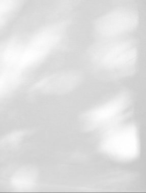 Beyaz bir duvardaki yaprakların soyut gölgesi, fotoğraf, taklit, ürün, duvar sanatı, tasarım sunumu için üstüste efekt