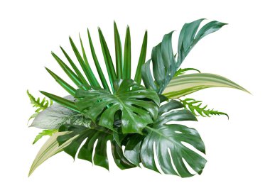 Bir buket tropikal yeşil yaprak botanik dekoratif düzenleme arkaplan beyaz zemin üzerinde izole
