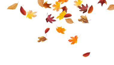 Sonbahar mevsimi arka planında düşen sonbahar yaprakları, kırmızı, sarı ve turuncu yapraklar şeffaf arkaplanda izole edilmiş..