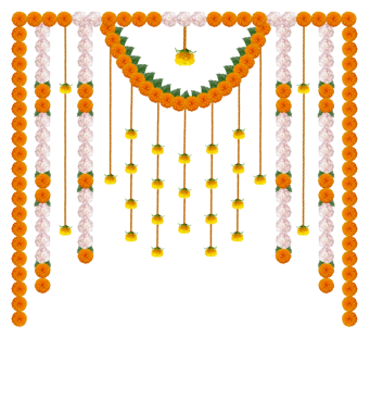 Düğün dekorasyonu için kadife çiçeği süslemesi, Mutlu Diwali, şeffaf arkaplanda izole edilmiş Hint Tatil Festivali