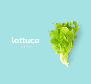 Maruldan yapılmış yaratıcı bir düzen. Düz yatıyordu. Yiyecek konsepti.