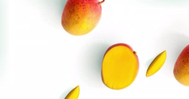 Mango ve yapraklardan yapılmış yaratıcı bir animasyon. Düz yatıyordu. Yemek konsepti. Aquamarine arka planında mango.