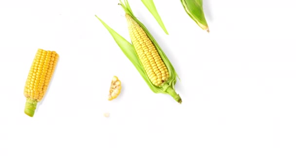 Анимация Движения Свежей Кукурузой Анимация Кукурузы Белом Фоне Вид Сверху — стоковое видео
