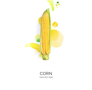 Beyaz arka planda suluboya lekeleri olan mısırdan yapılmış yaratıcı bir düzen. Düz yatıyordu. Yiyecek konsepti.