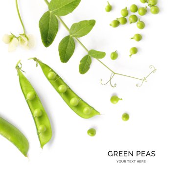Yeşil bezelyelerden ve beyaz arka plandan oluşan yaratıcı bir düzen. Düz yatıyordu. Makro kavramı.