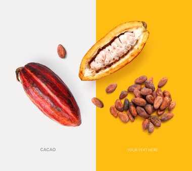 Kakao meyvesi ve kakao fasulyesinden yapılmış yaratıcı bir düzen. Düz yatıyordu. Yemek konsepti. Makro kavramı.