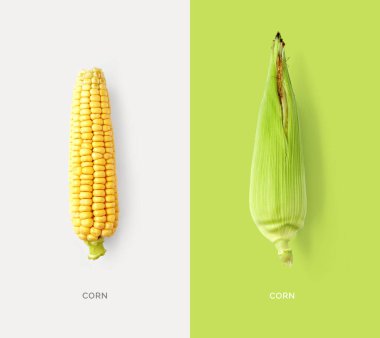 Mısır yapılmış yaratıcı düzeni. Düz yatıyordu. Gıda kavramı.