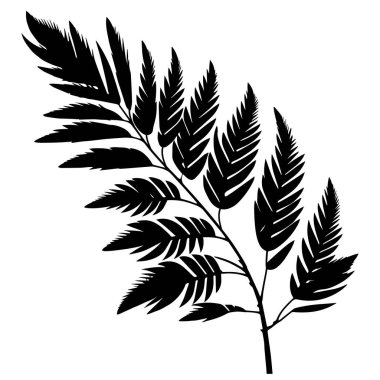 Palm leaf background. Realistic palm tree leaf silhouette isolated element. Black shadow shape isolated on white transparent background. Plotter laser cutting file. Vector Illustration